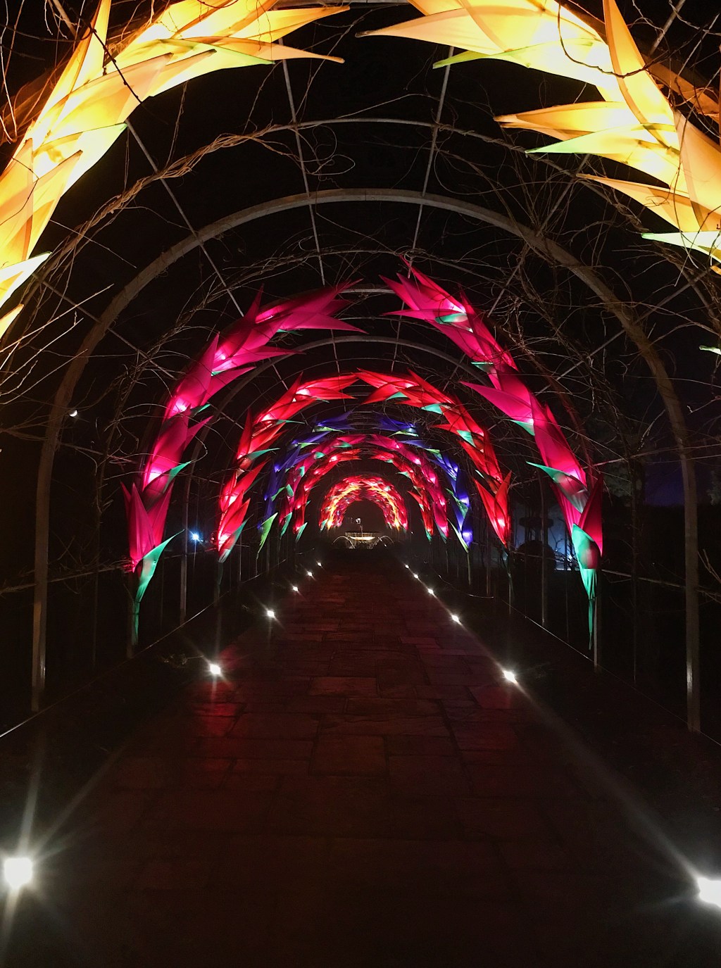 Lighting up the&nbsp;dark